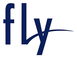 Компания-производитель телефонов - Fly